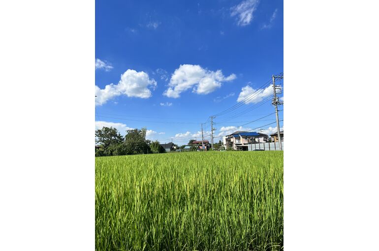 38378F55-167C-40A6-9ECD-E17FD26B657B